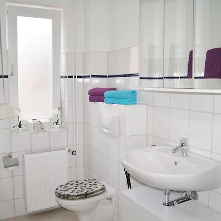 Scheitz 1 * Даме