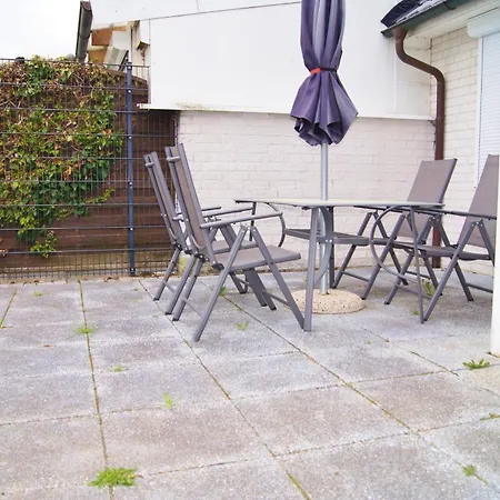 Scheitz 1 * Даме